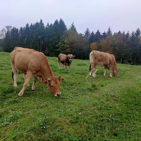 Haus Lindenfeld Apartman Ruhstorf an der Rott Kültér fotó